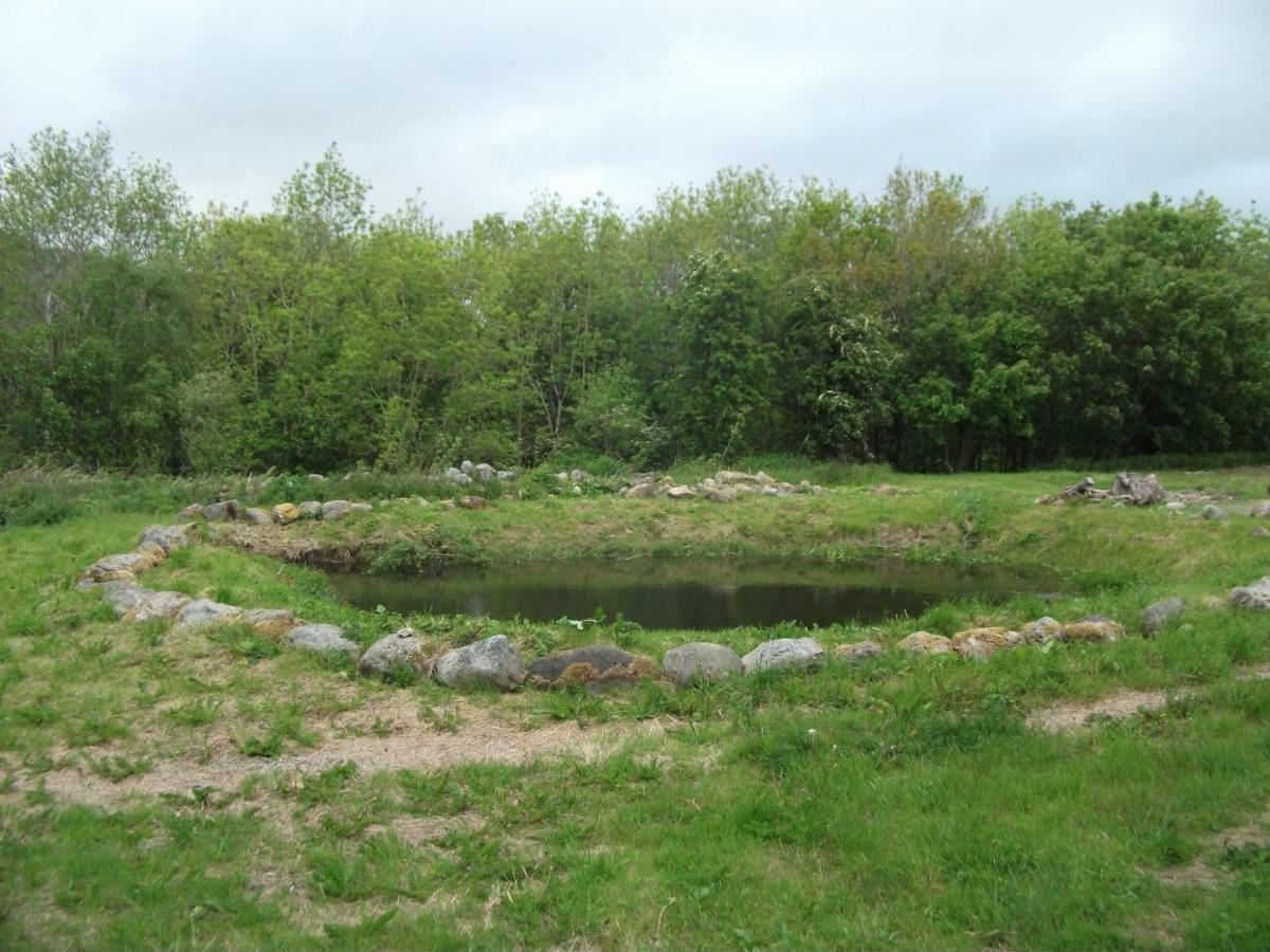Cosy Ground Floor Disabled Friendly Room In Farm House Llandderfel المظهر الخارجي الصورة
